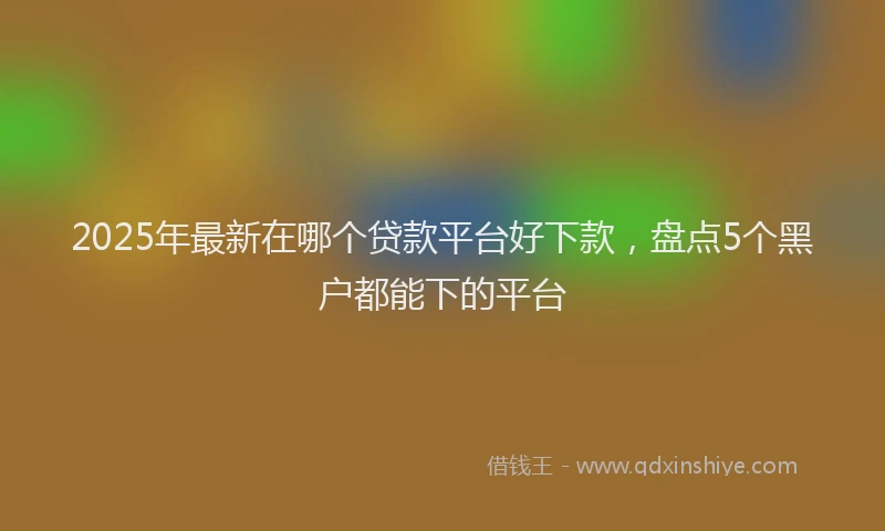 2025年最新在哪个贷款平台好下款，盘点5个黑户都能下的平台