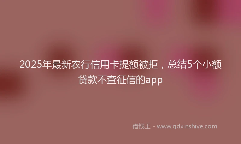 2025年最新农行信用卡提额被拒，总结5个小额贷款不查征信的app