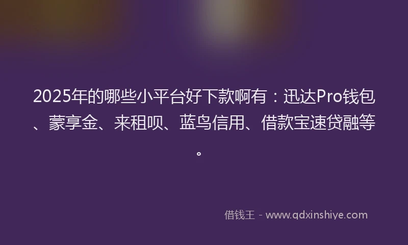 2025年的哪些小平台好下款啊有：迅达Pro钱包、蒙享金、来租呗、蓝鸟信用、借款宝速贷融等。