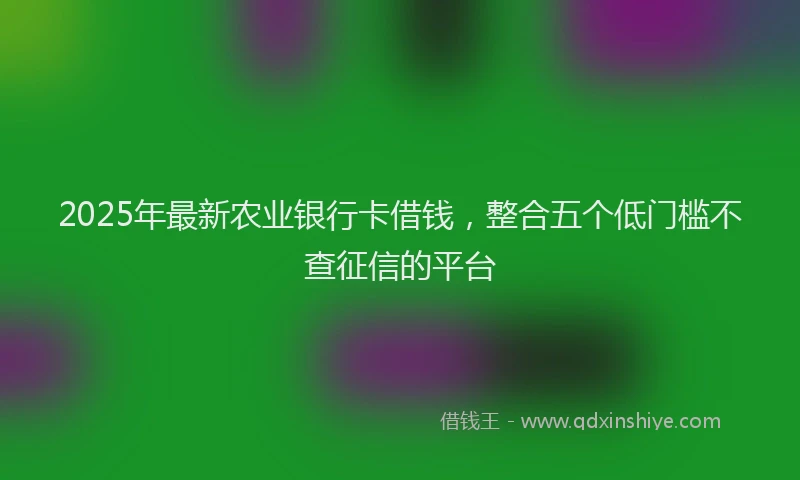 2025年最新农业银行卡借钱，整合五个低门槛不查征信的平台