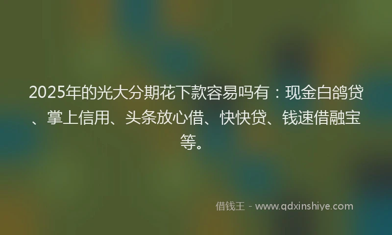 2025年的光大分期花下款容易吗有：现金白鸽贷、掌上信用、头条放心借、快快贷、钱速借融宝等。