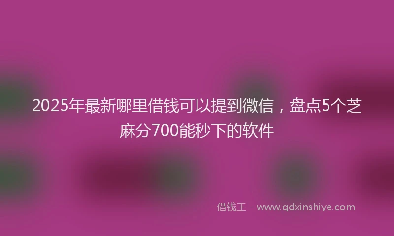 2025年最新哪里借钱可以提到微信，盘点5个芝麻分700能秒下的软件