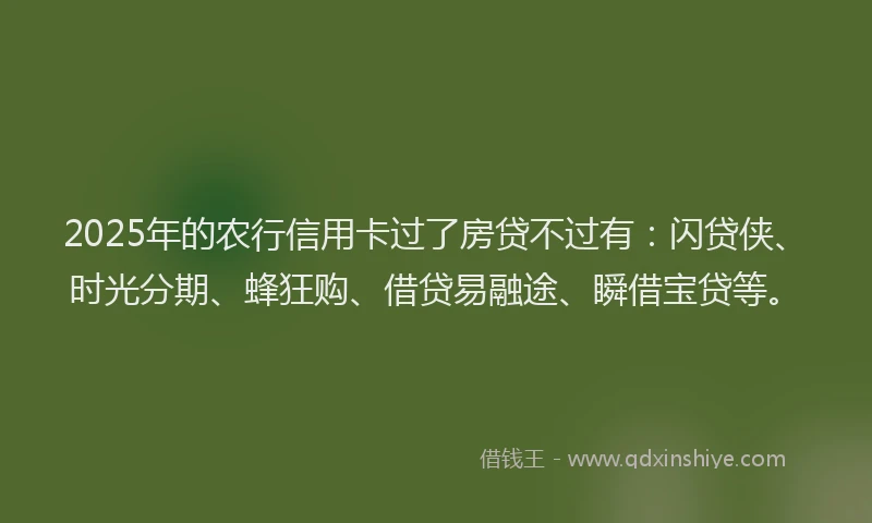 2025年的农行信用卡过了房贷不过有：闪贷侠、时光分期、蜂狂购、借贷易融途、瞬借宝贷等。