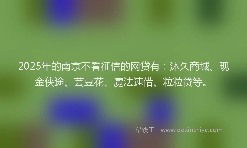 2025年的南京不看征信的网贷有：沐久商城、现金侠途、芸豆花、魔法速借、粒粒贷等。