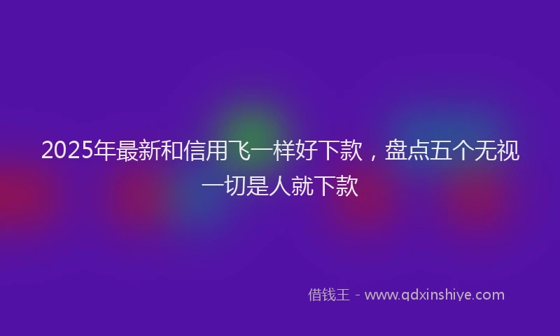 2025年最新和信用飞一样好下款，盘点五个无视一切是人就下款