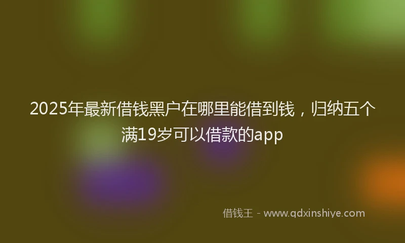 2025年最新借钱黑户在哪里能借到钱，归纳五个满19岁可以借款的app