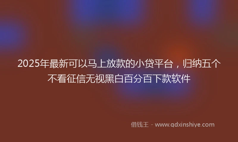 2025年最新可以马上放款的小贷平台，归纳五个不看征信无视黑白百分百下款软件
