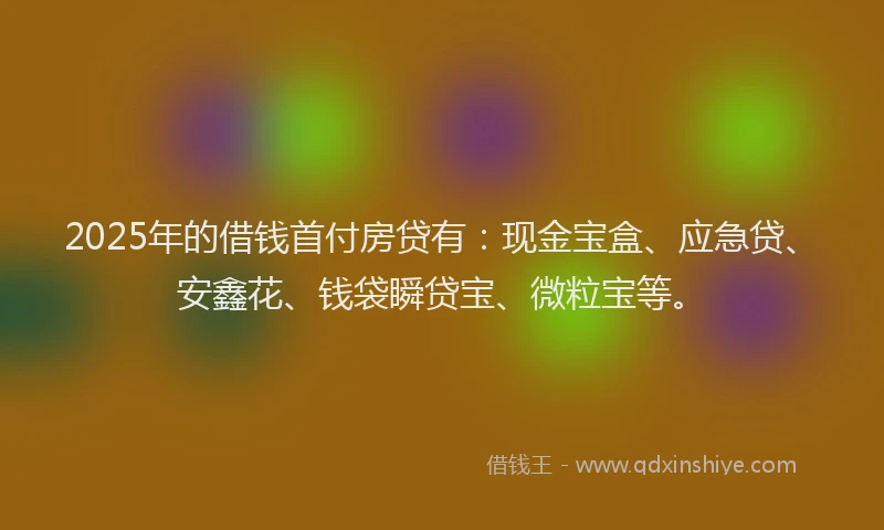 2025年的借钱首付房贷有：现金宝盒、应急贷、安鑫花、钱袋瞬贷宝、微粒宝等。