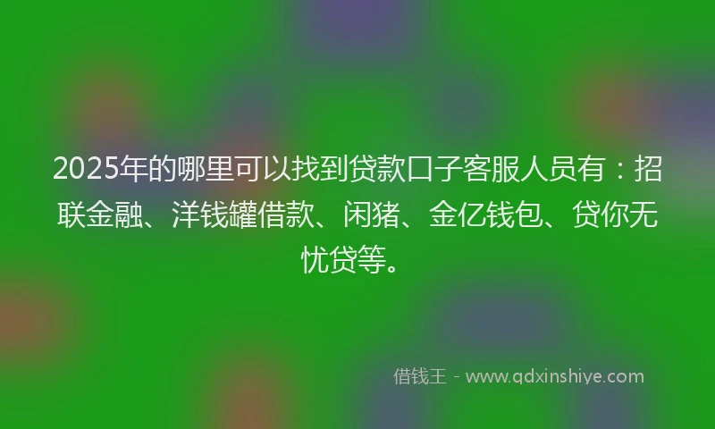 2025年的哪里可以找到贷款口子客服人员有：招联金融、洋钱罐借款、闲猪、金亿钱包、贷你无忧贷等。