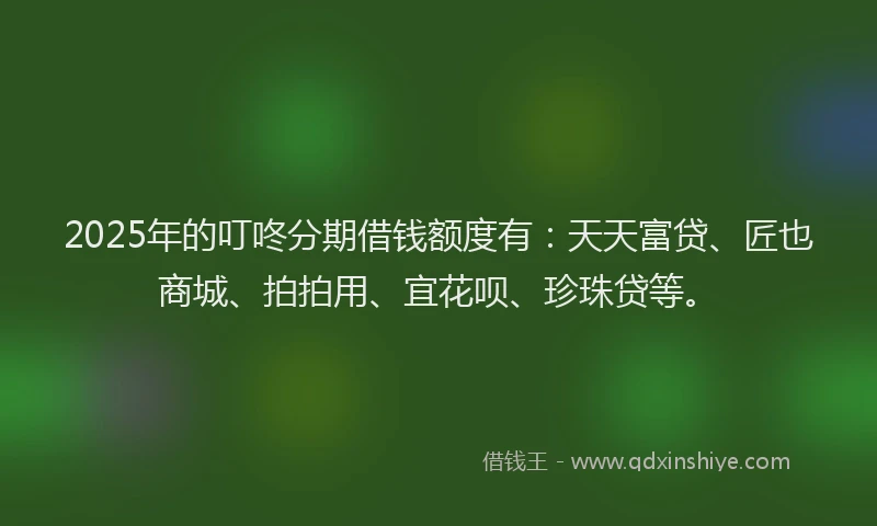 2025年的叮咚分期借钱额度有：天天富贷、匠也商城、拍拍用、宜花呗、珍珠贷等。