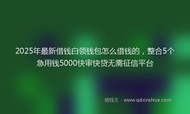 2025年最新借钱白领钱包怎么借钱的，整合5个急用钱5000快审快贷无需征信平台