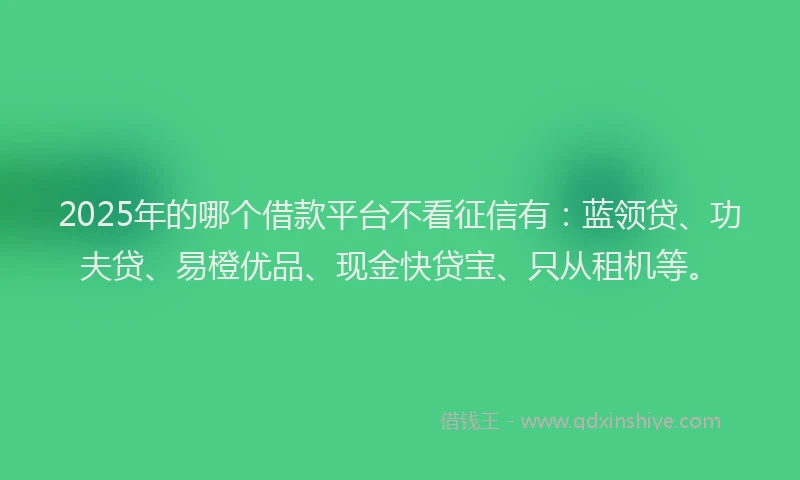 2025年的哪个借款平台不看征信有：蓝领贷、功夫贷、易橙优品、现金快贷宝、只从租机等。
