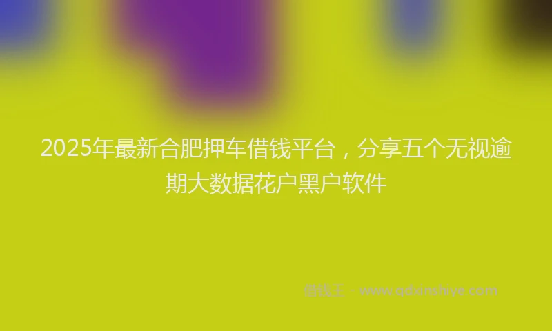 2025年最新合肥押车借钱平台，分享五个无视逾期大数据花户黑户软件