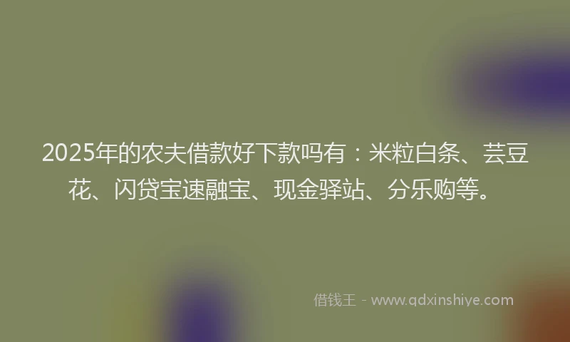 2025年的农夫借款好下款吗有：米粒白条、芸豆花、闪贷宝速融宝、现金驿站、分乐购等。