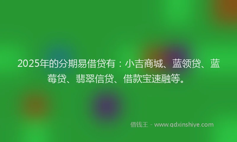2025年的分期易借贷有：小吉商城、蓝领贷、蓝莓贷、翡翠信贷、借款宝速融等。