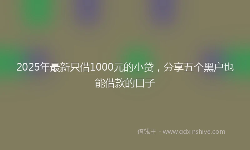 2025年最新只借1000元的小贷，分享五个黑户也能借款的口子
