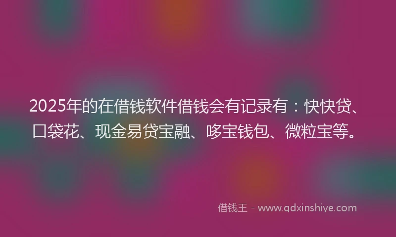 2025年的在借钱软件借钱会有记录有：快快贷、口袋花、现金易贷宝融、哆宝钱包、微粒宝等。