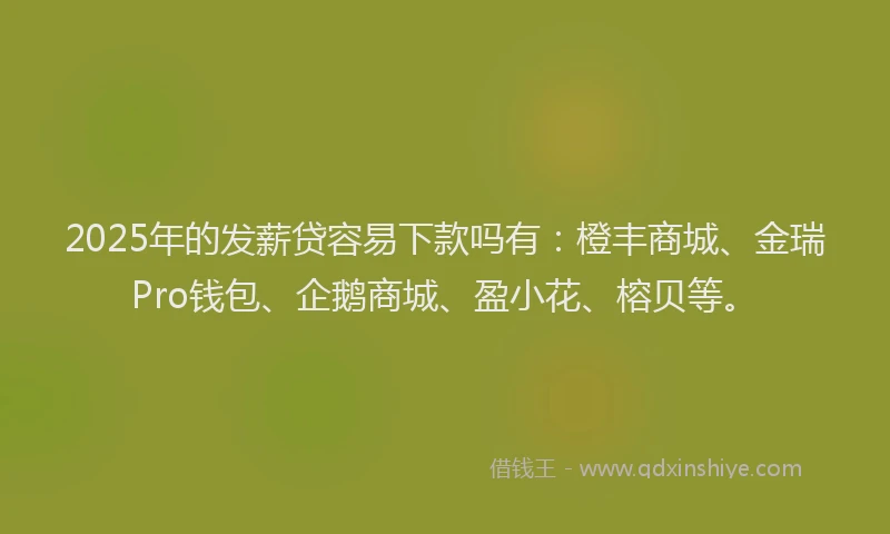 2025年的发薪贷容易下款吗有：橙丰商城、金瑞Pro钱包、企鹅商城、盈小花、榕贝等。