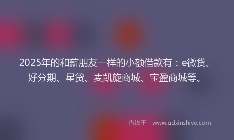 2025年的和薪朋友一样的小额借款有：e微贷、好分期、星贷、麦凯旋商城、宝盈商城等。