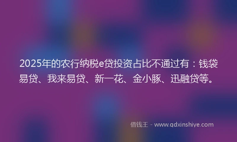 2025年的农行纳税e贷投资占比不通过有：钱袋易贷、我来易贷、新一花、金小豚、迅融贷等。