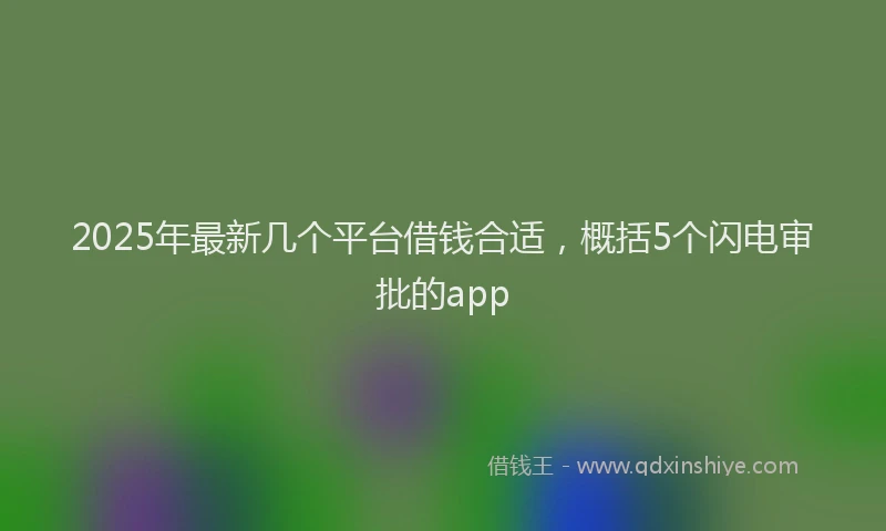 2025年最新几个平台借钱合适，概括5个闪电审批的app