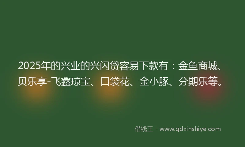 2025年的兴业的兴闪贷容易下款有：金鱼商城、贝乐享-飞鑫琼宝、口袋花、金小豚、分期乐等。