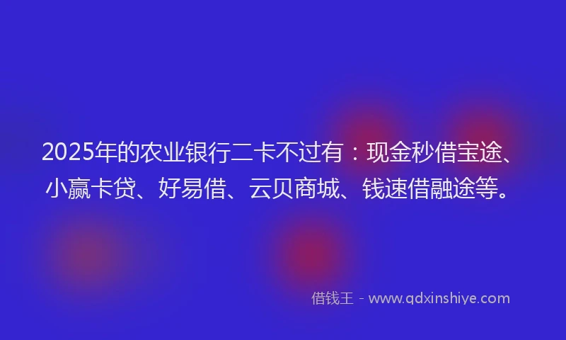 2025年的农业银行二卡不过有：现金秒借宝途、小赢卡贷、好易借、云贝商城、钱速借融途等。