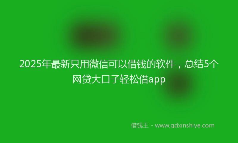 2025年最新只用微信可以借钱的软件，总结5个网贷大口子轻松借app