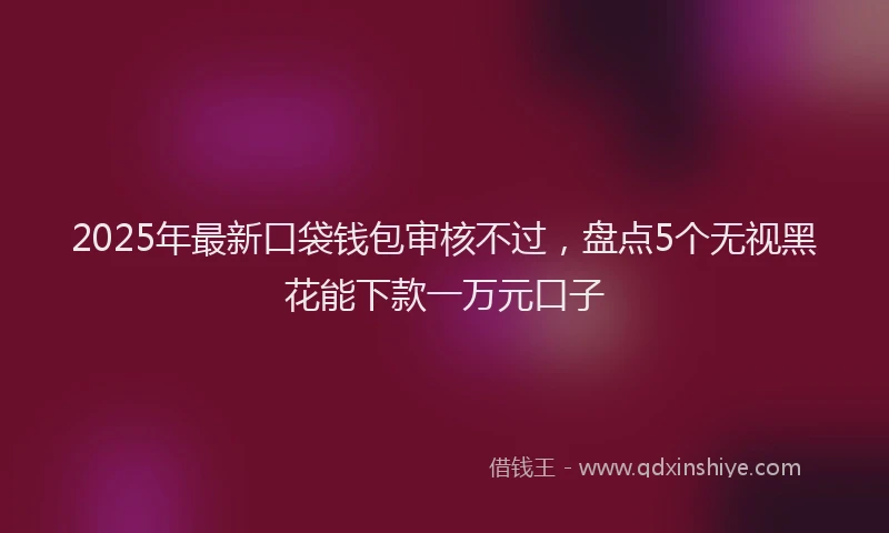 2025年最新口袋钱包审核不过，盘点5个无视黑花能下款一万元口子