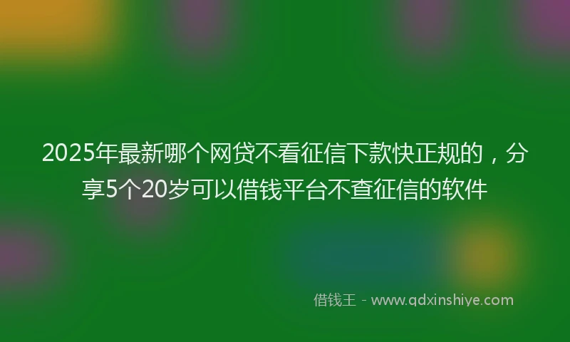 2025年最新哪个网贷不看征信下款快正规的，分享5个20岁可以借钱平台不查征信的软件