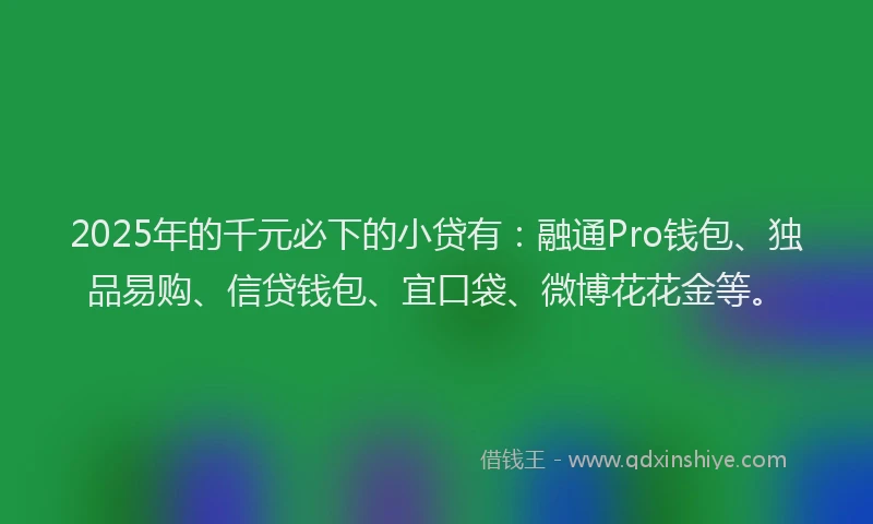 2025年的千元必下的小贷有：融通Pro钱包、独品易购、信贷钱包、宜口袋、微博花花金等。