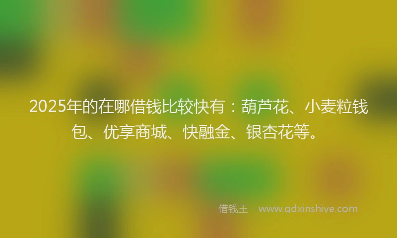 2025年的在哪借钱比较快有：葫芦花、小麦粒钱包、优享商城、快融金、银杏花等。