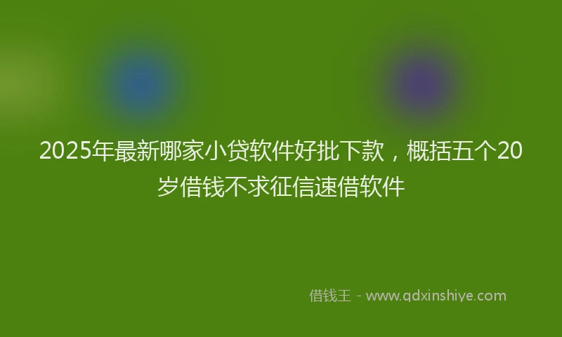 2025年最新哪家小贷软件好批下款，概括五个20岁借钱不求征信速借软件