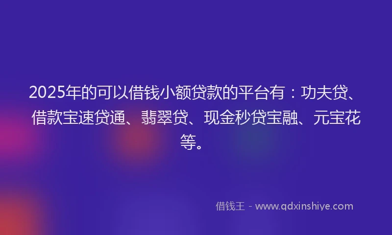 2025年的可以借钱小额贷款的平台有：功夫贷、借款宝速贷通、翡翠贷、现金秒贷宝融、元宝花等。