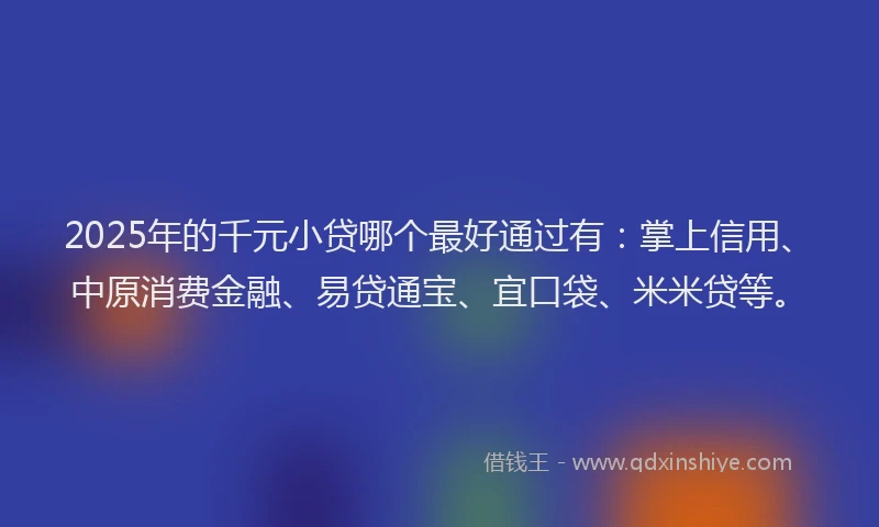 2025年的千元小贷哪个最好通过有：掌上信用、中原消费金融、易贷通宝、宜口袋、米米贷等。