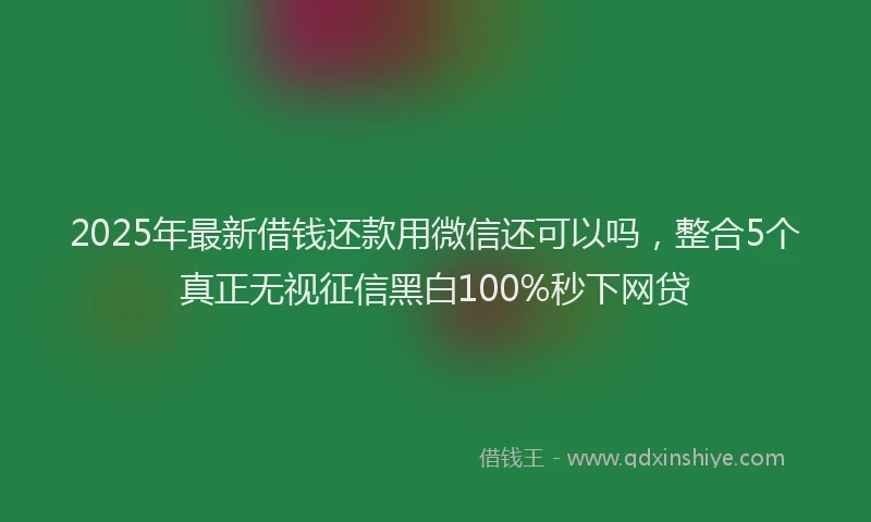 2025年最新借钱还款用微信还可以吗，整合5个真正无视征信黑白100%秒下网贷