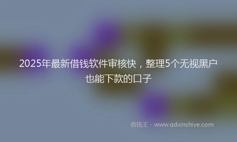 2025年最新借钱软件审核快，整理5个无视黑户也能下款的口子
