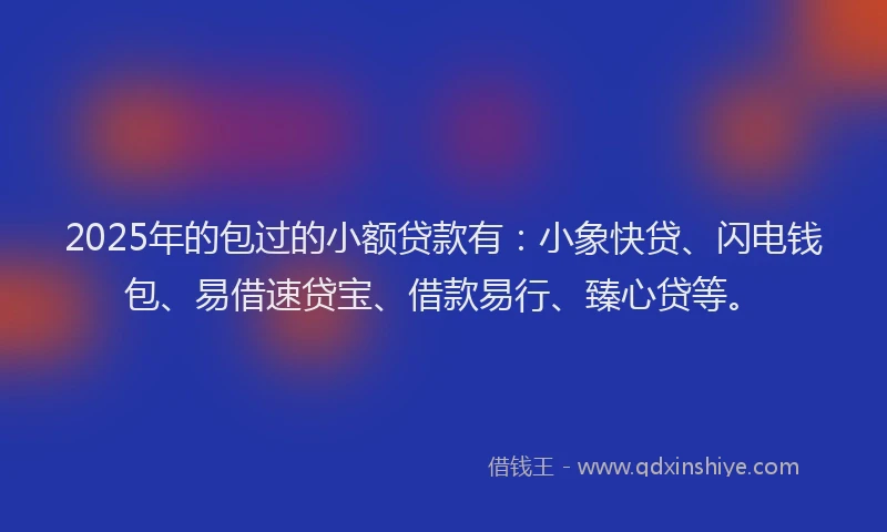 2025年的包过的小额贷款有：小象快贷、闪电钱包、易借速贷宝、借款易行、臻心贷等。