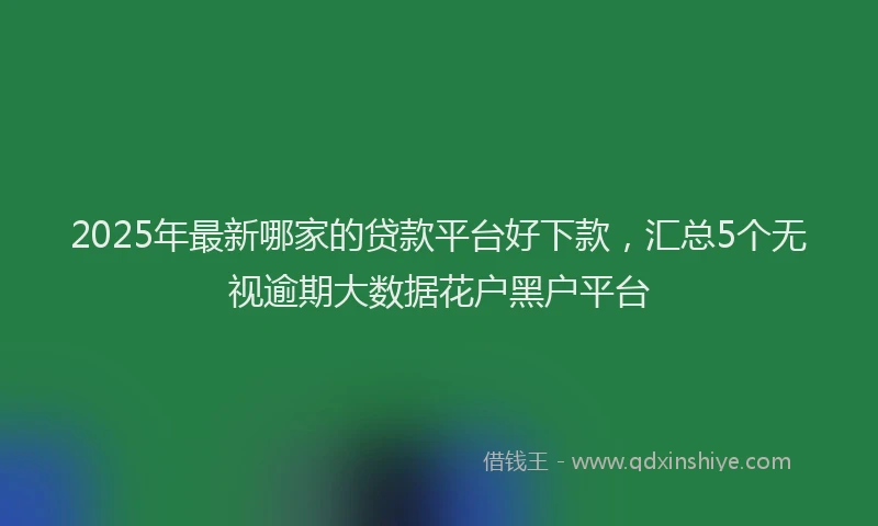 2025年最新哪家的贷款平台好下款，汇总5个无视逾期大数据花户黑户平台