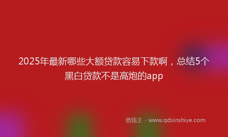 2025年最新哪些大额贷款容易下款啊，总结5个黑白贷款不是高炮的app