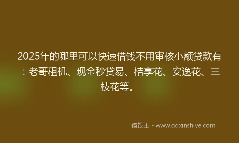 2025年的哪里可以快速借钱不用审核小额贷款有：老哥租机、现金秒贷易、桔享花、安逸花、三枝花等。