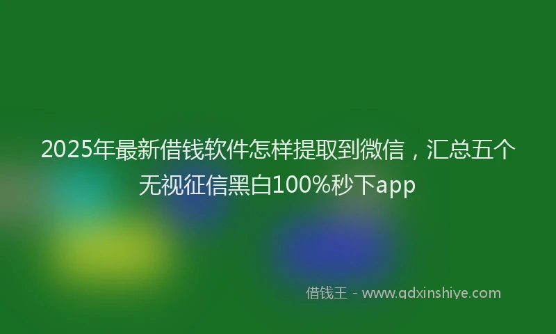 2025年最新借钱软件怎样提取到微信，汇总五个无视征信黑白100%秒下app