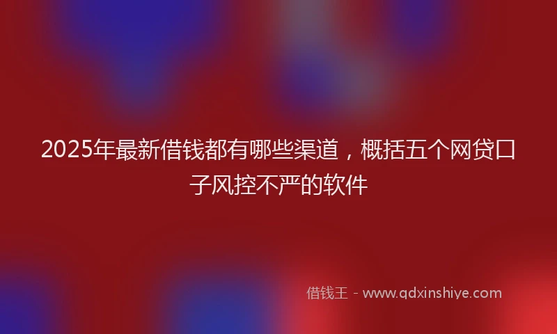 2025年最新借钱都有哪些渠道，概括五个网贷口子风控不严的软件