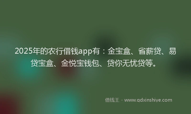 2025年的农行借钱app有：金宝盒、省薪贷、易贷宝盒、金悦宝钱包、贷你无忧贷等。