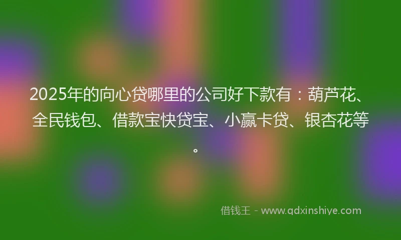 2025年的向心贷哪里的公司好下款有：葫芦花、全民钱包、借款宝快贷宝、小赢卡贷、银杏花等。