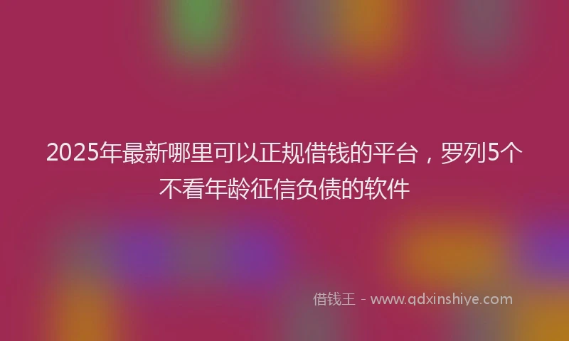 2025年最新哪里可以正规借钱的平台，罗列5个不看年龄征信负债的软件