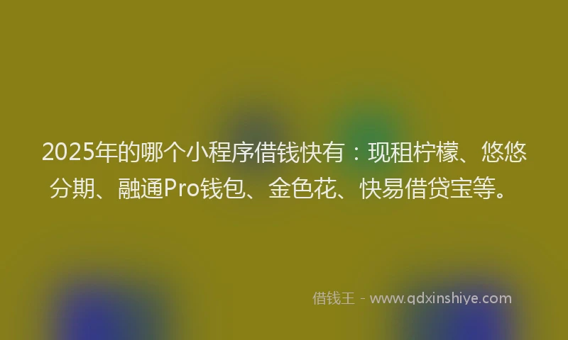 2025年的哪个小程序借钱快有：现租柠檬、悠悠分期、融通Pro钱包、金色花、快易借贷宝等。