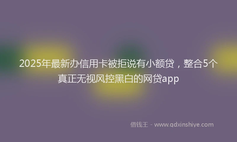 2025年最新办信用卡被拒说有小额贷，整合5个真正无视风控黑白的网贷app