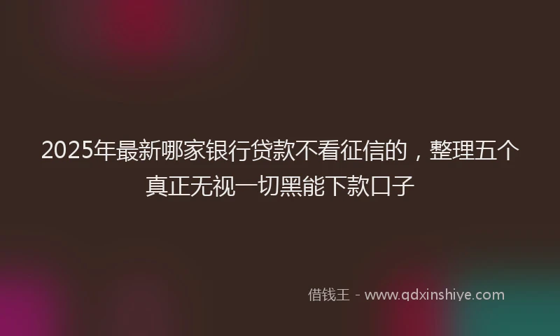2025年最新哪家银行贷款不看征信的，整理五个真正无视一切黑能下款口子
