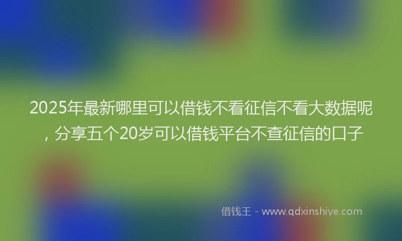 2025年最新哪里可以借钱不看征信不看大数据呢，分享五个20岁可以借钱平台不查征信的口子